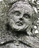 Muszynka