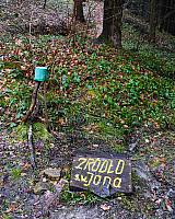 Wyskitna