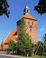 Rogóż