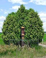 Pogorzałki