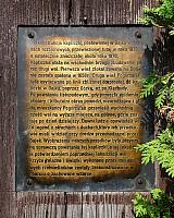 Pogorzałki