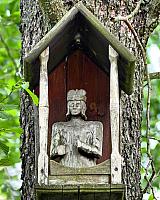 Podlaski