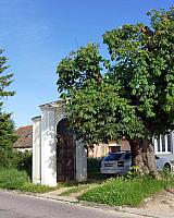 Oblekovice